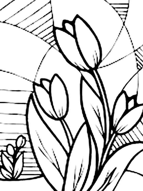 Tulips, : A Classic Glass Mural of Tulips Coloring Page