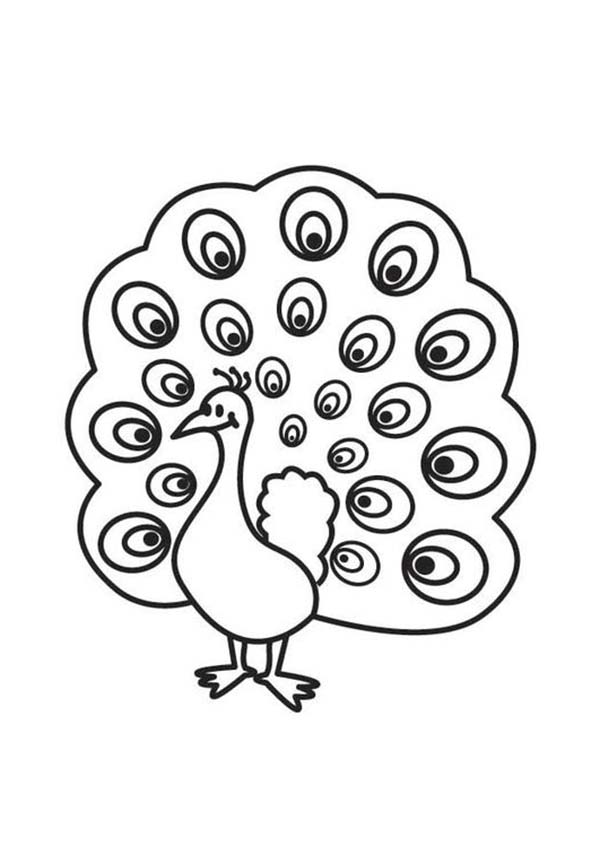 Peacock, : A Cute Peacock with Beautiful Eyes Plumage Coloring Page