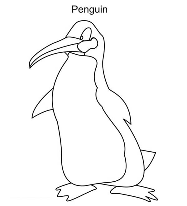 Penguins, : A Realistic Draw of Penguin Coloring Page