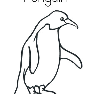 Penguins, A Realistic Drawing Of Humboldt Penguin Coloring Page: A Realistic Drawing of Humboldt Penguin Coloring Page