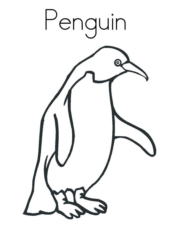 Penguins, : A Realistic Drawing of Humboldt Penguin Coloring Page