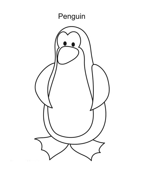 Penguins, : A Simple Drawing of Penguin in Cartoon Coloring Page