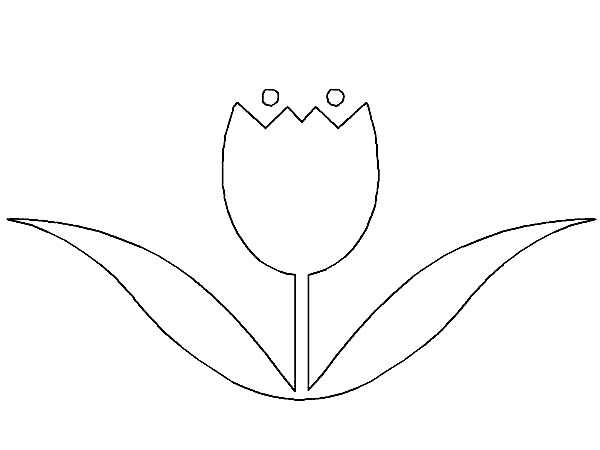 Tulips, : A Simple Tulip Drawing Coloring Page
