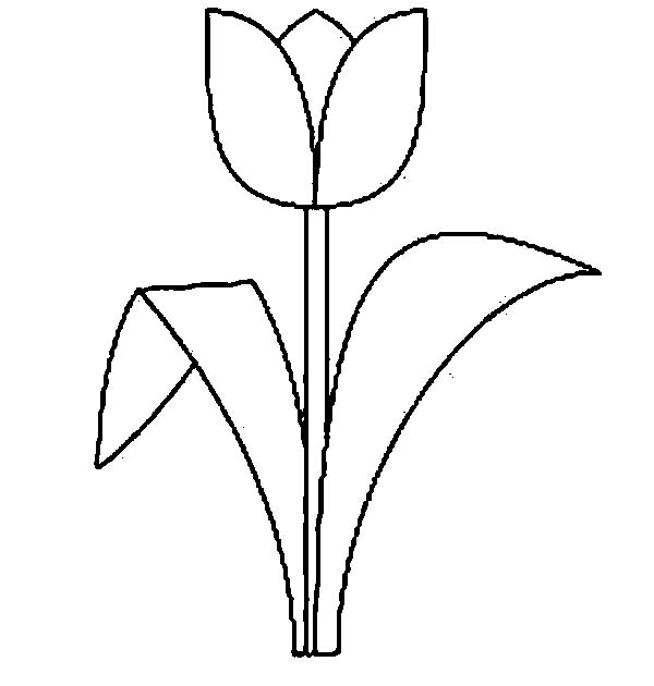 Tulips, : A Single Standard Tulip in Lineart Coloring Page
