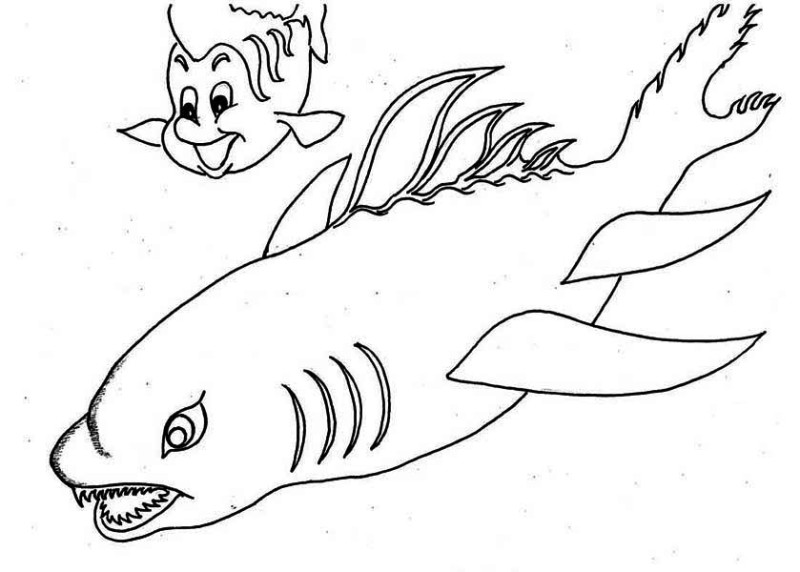 Sharks, A Wierd Shaped Shark And Little Fish Coloring Page: A Wierd Shaped Shark And Little Fish Coloring PageFull Size Image