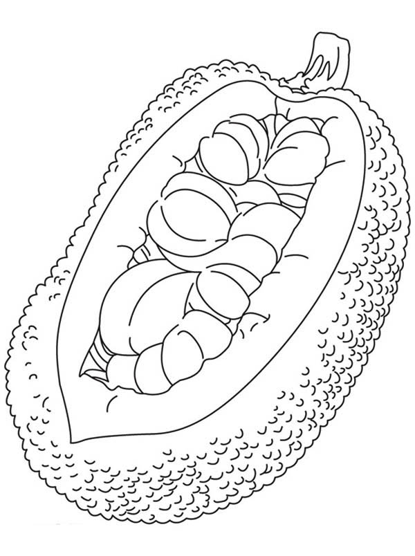 Fruits and Vegetables, : An Open Jack Fruit Coloring Page