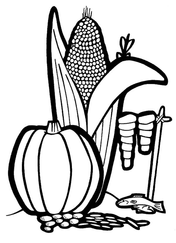 Fruits and Vegetables, : Corn and Watermelon in the Farm Coloring Page
