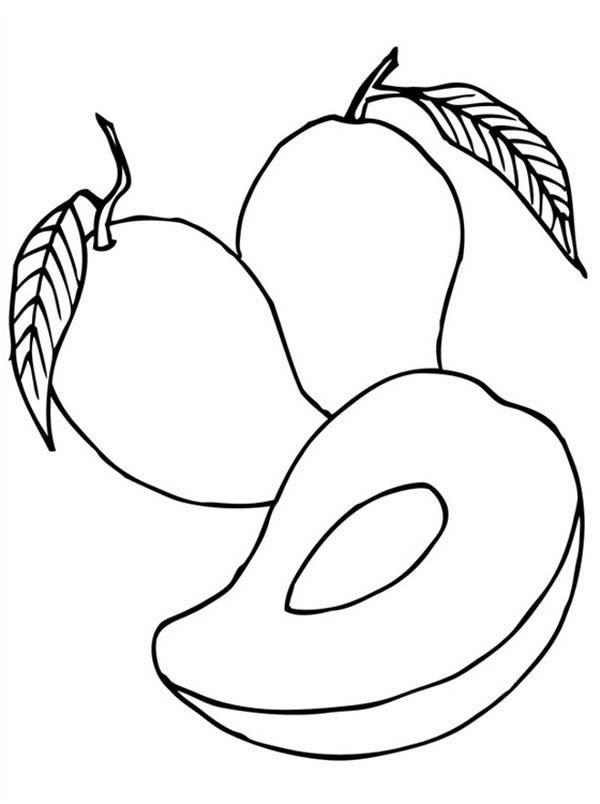 Fruits and Vegetables, : Fresh Tropical Mango Coloring Page