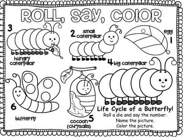 Caterpillars, : From Caterpillar Into a Butterfly Coloring Page