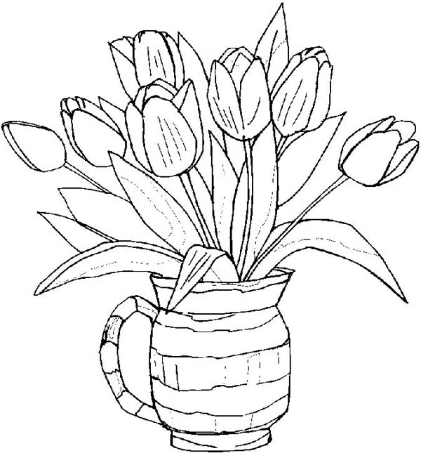 Tulips, : Growing Tulips in a Pot Coloring Page