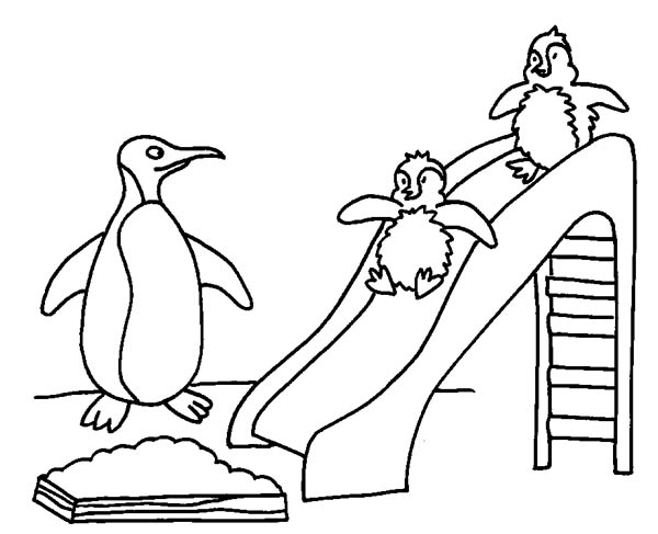 Penguins, : Two Baby Penguins Playing Slide with Their Mother Coloring Page