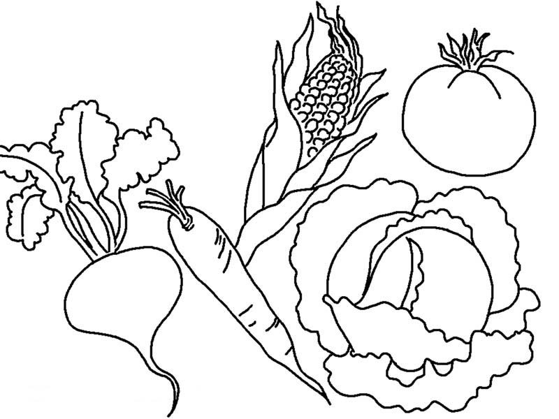 Fruits and Vegetables, Various Types Of Vegetables Coloring Page: Various Types Of Vegetables Coloring PageFull Size Image