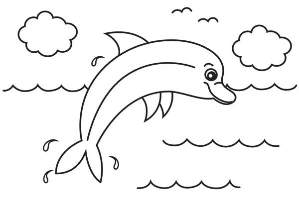 Dolphin, : cute-and-funny-dolphin-colorong-page.jpg