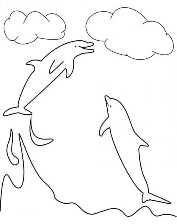 Dolphin, : dolphin-can-catch-the-clouds-here-at-colorkiddo-coloring-page.jpg