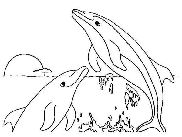 Dolphin, : dolphins-rising-while-sunset-coloring-page.jpg
