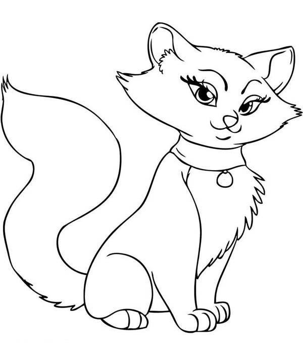 Kitty Cat, : A Beautiful Female Kitty Cat Stands Elegantly Coloring Page