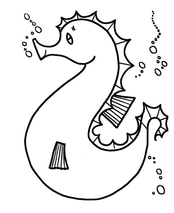 Seahorse, : A Fatty Seahorse with Big Belly Coloring Page