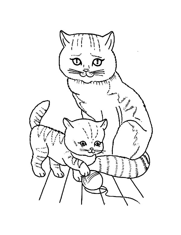 Kitty Cat, : A Kitty Cat Mother Watching Its Kid Coloring Page