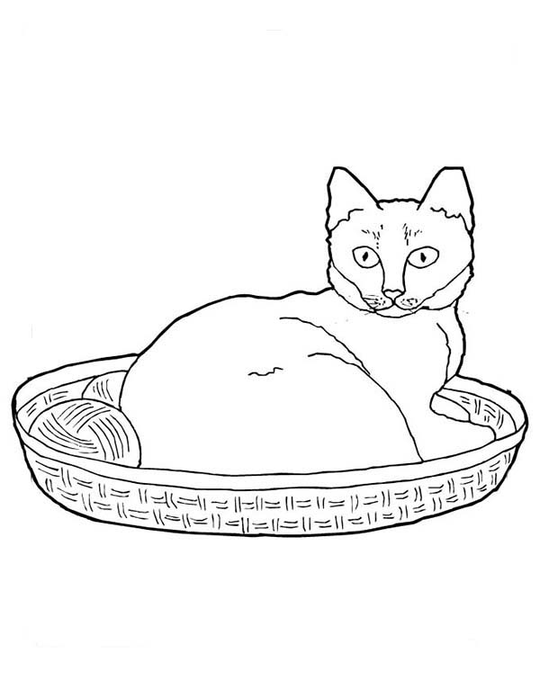 Kitty Cat, : A Lazy Kitty Cat on Its Basket and Yarn Coloring Page
