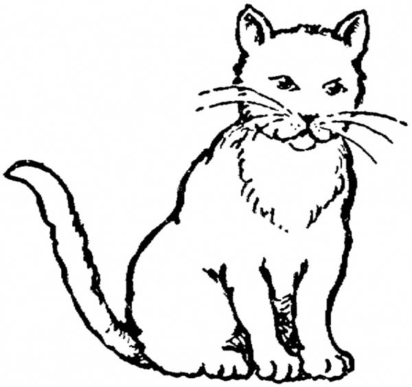 Kitty Cat, : A Realistic Drawing of Kitty Cat Coloring Page