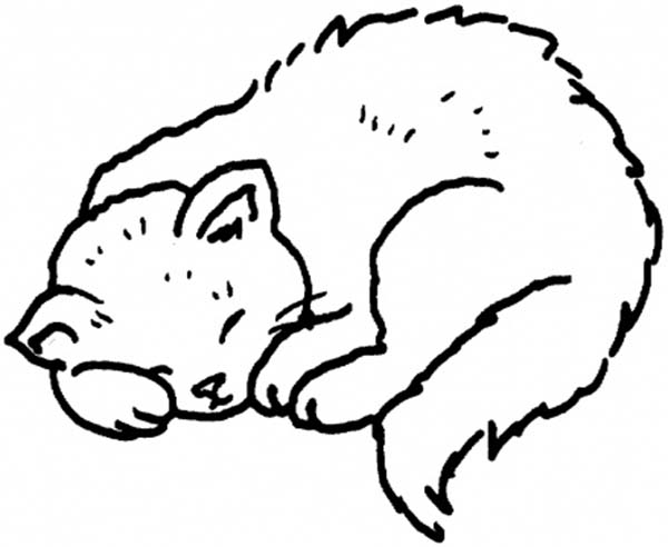 Kitty Cat, : A Sweet Kitty Cat on Its Napping Session Coloring Page