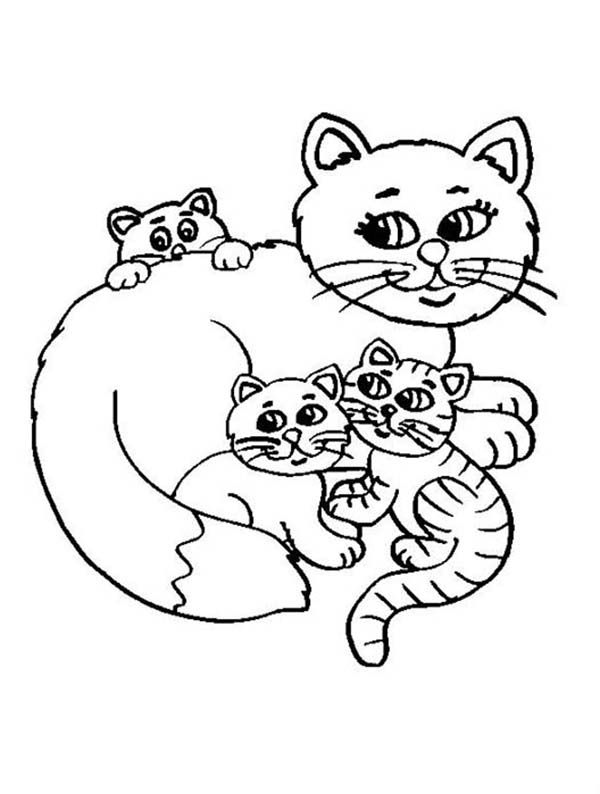 Kitty Cat, : A Sweet Kitty Cats and Its Mother Coloring Page