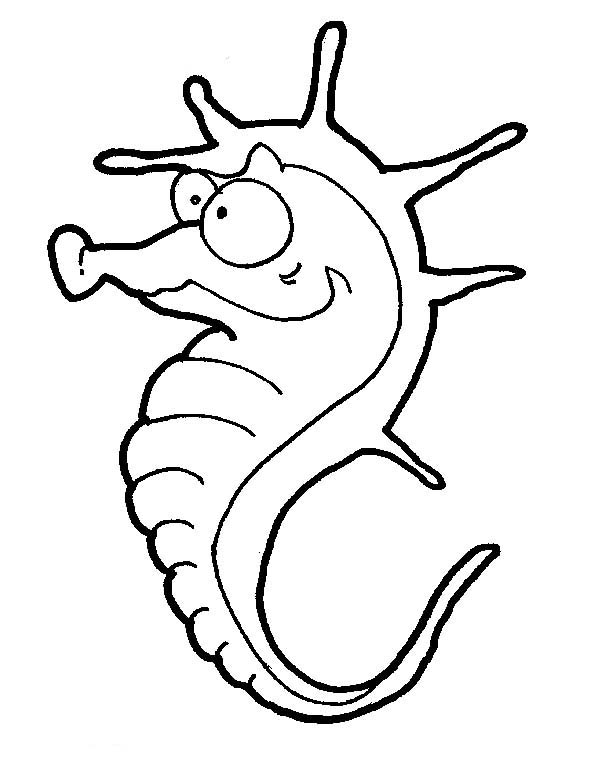 Seahorse, : A Weird Looking Seahorse Coloring Page