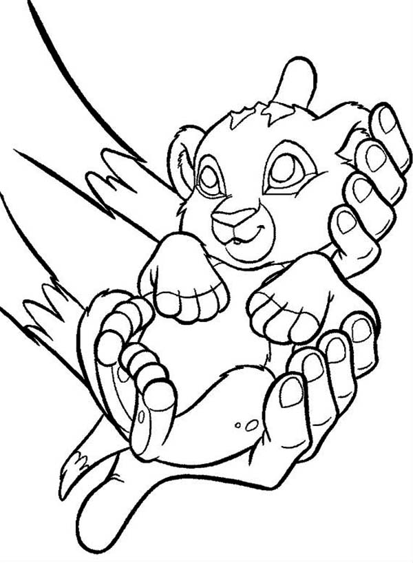 Lion King, : Cute Baby Simba The Lion King Coloring Page