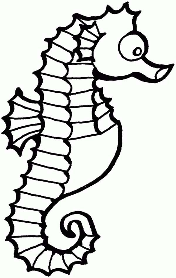 Seahorse, : Funny Seahorse in Cartoon Coloring Page