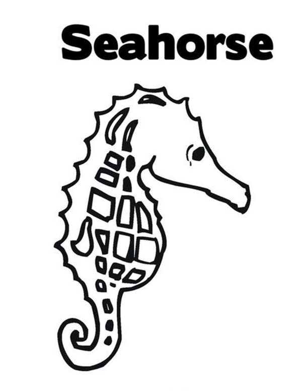 Seahorse, : Lets Learn the Word Seahorse Coloring Page