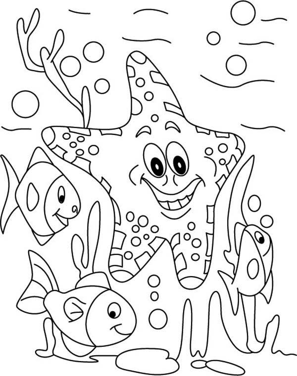Starfish, : Starfish and Fish in the Sea Coloring Page