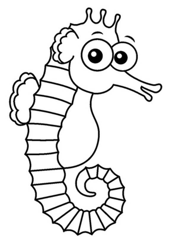 Seahorse, : This Seahorse is Surprised Coloring Page