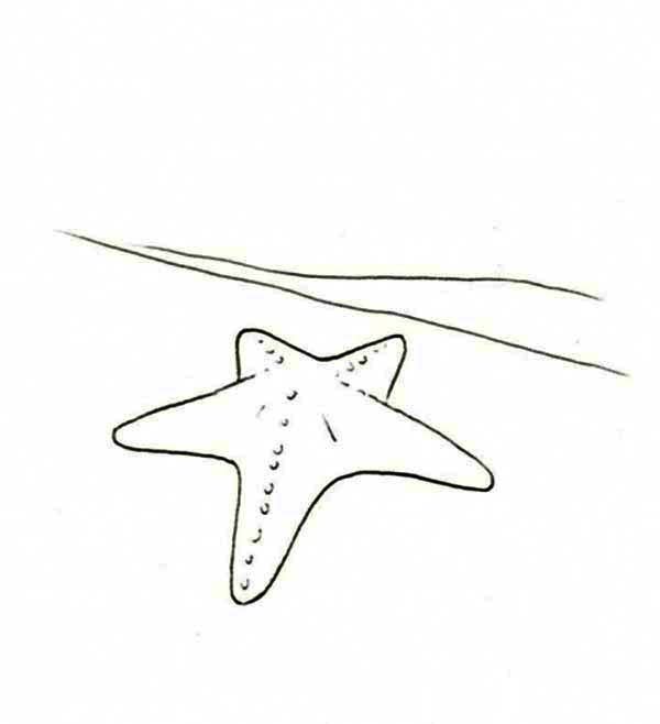 Starfish, : Walking Starfish Coloring Page