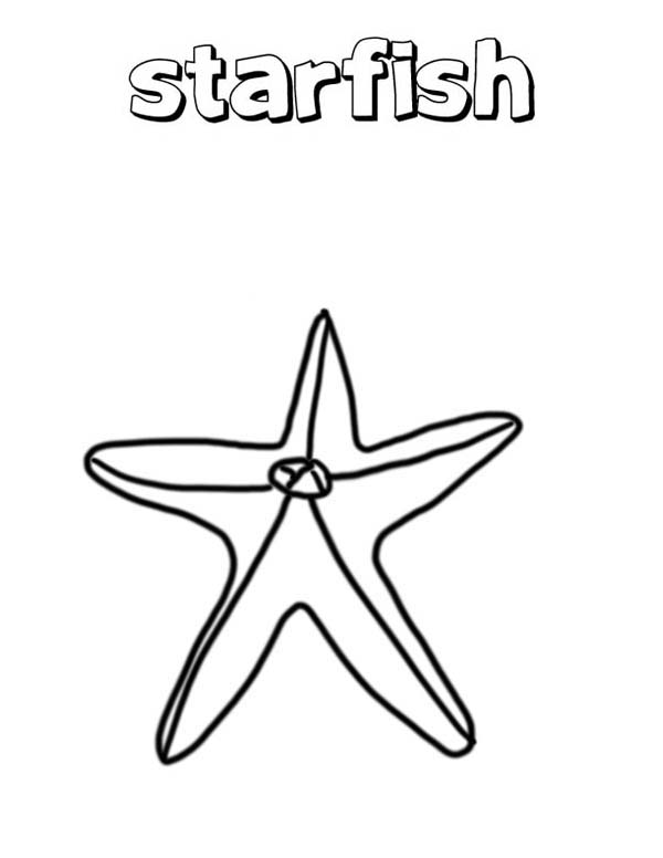 Starfish, : Wonderful Starfish Coloring Page