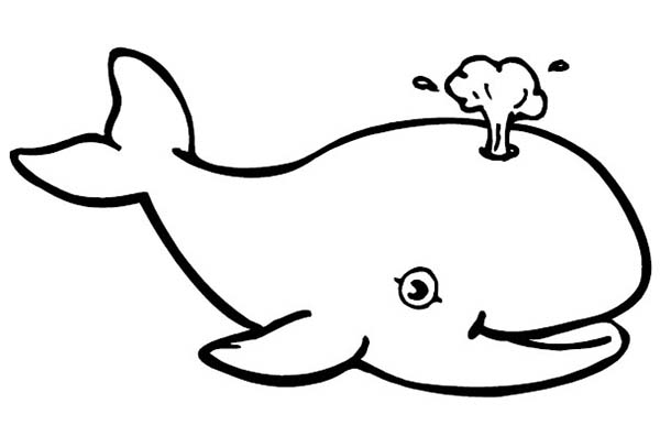 Whale, : Baby Whale Coloring Page