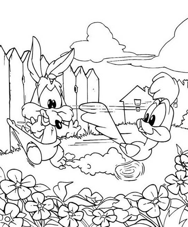 Baby Looney Tunes, : Baby Wil E and Baby Road Runner in Baby Looney Tunes Coloring Page