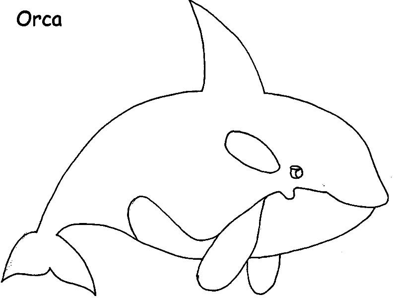 Whale, Cute Blue Whale Picture Coloring Page: Cute Blue Whale Picture Coloring PageFull Size Image