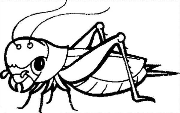 Grasshopper, : Grasshopper is an Insect Coloring Page