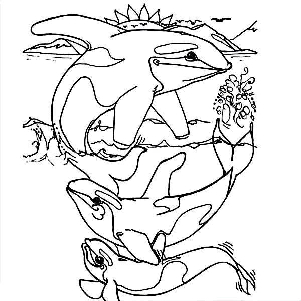 Whale, : Killer Whale Coloring Page