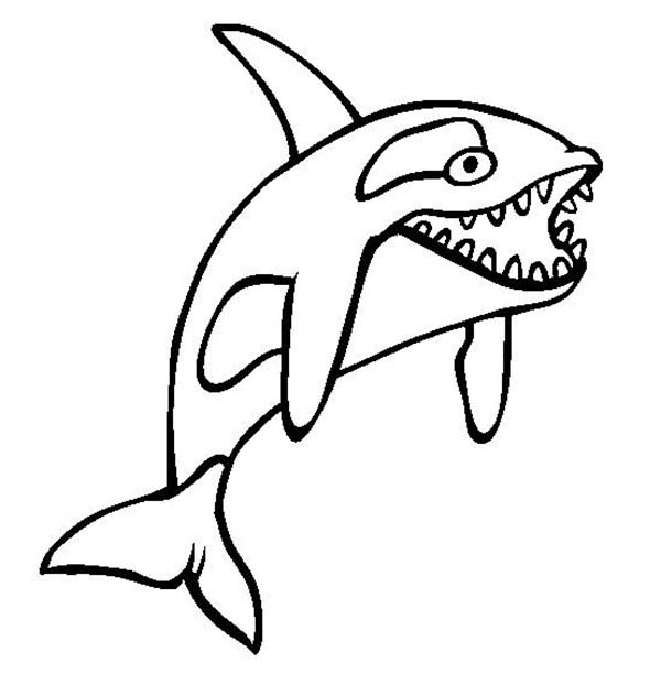 Whale, : Killer Whale Sharp Teeth Coloring Page