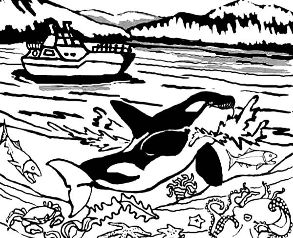 Whale, : Killer Whale and a Fishing Boat Coloring Page