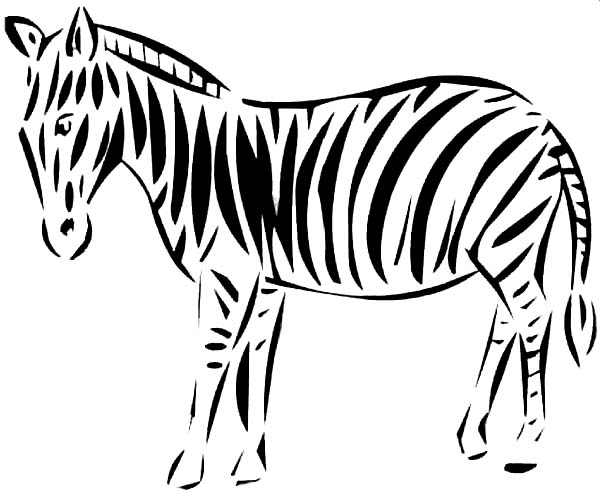 Zebra, : Zebra Black and White Coloring Page