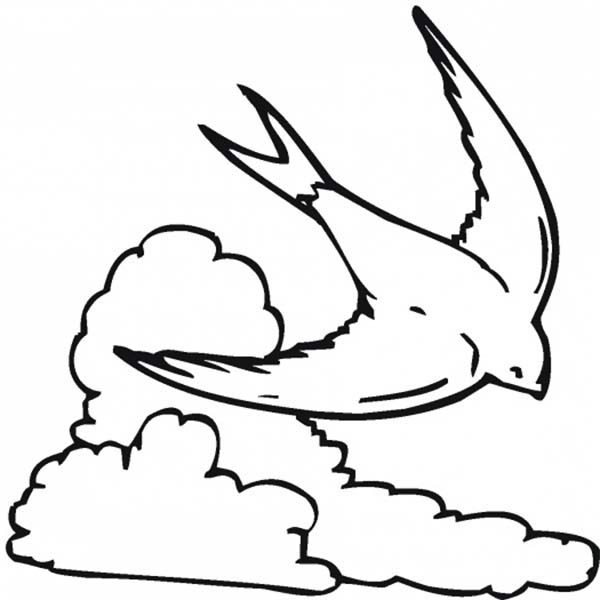 Clouds, : A Swallow Flying Over the Clouds Coloring Page