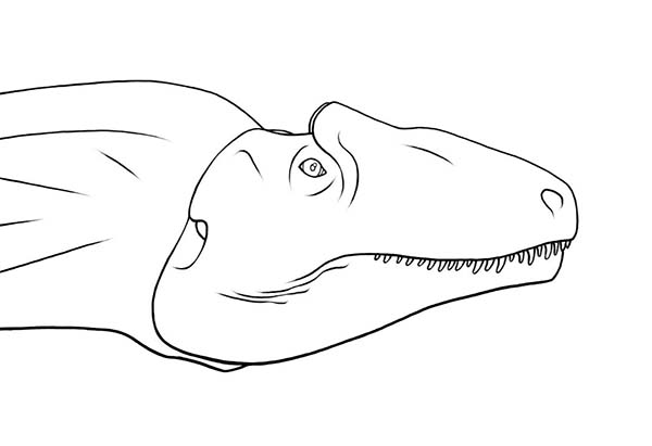 Allosaurus, : Awesome Picture of Allosaurus Head Coloring Page