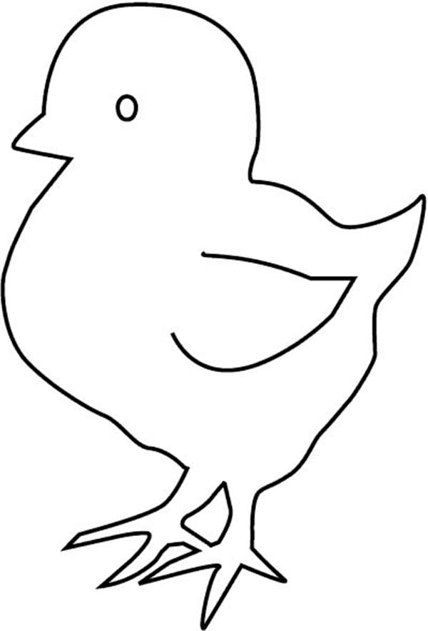 Baby Chick Outline Coloring Page Kids Play Color