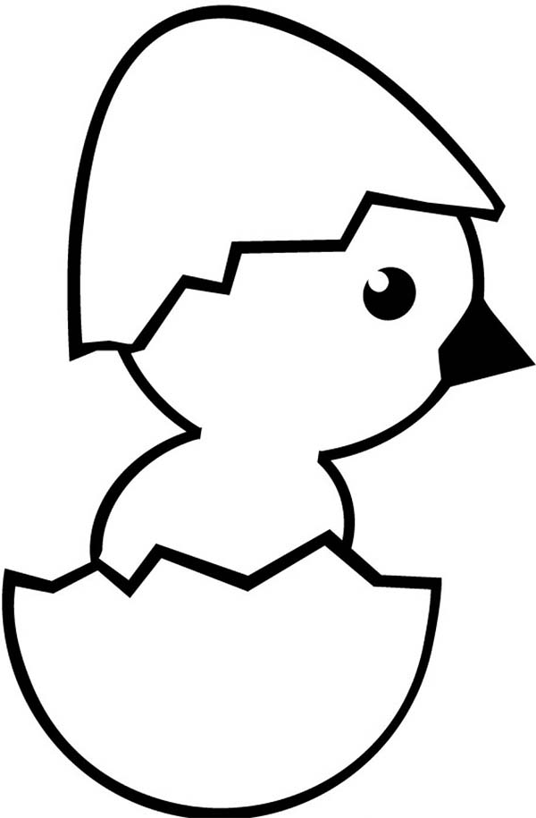 Baby Chick, : Baby Chick Wearing Eggshell Hat Coloring Page