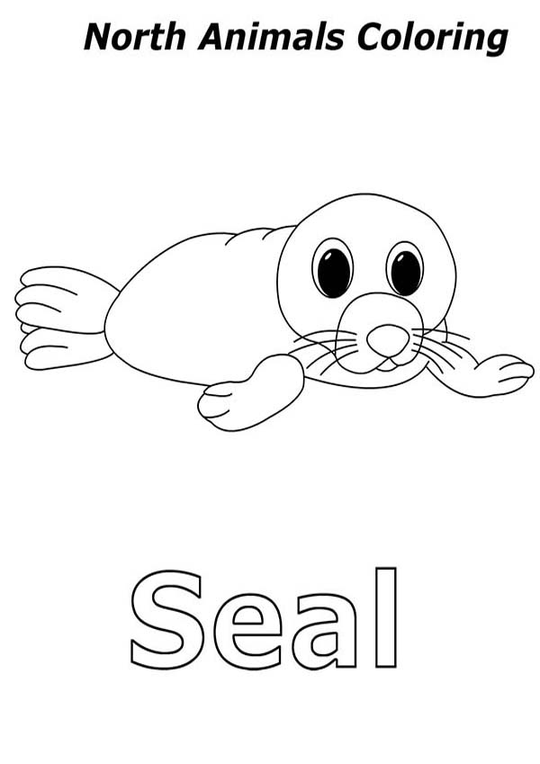 Arctic Animals, : Baby Seal in Arctic Animals Coloring Page