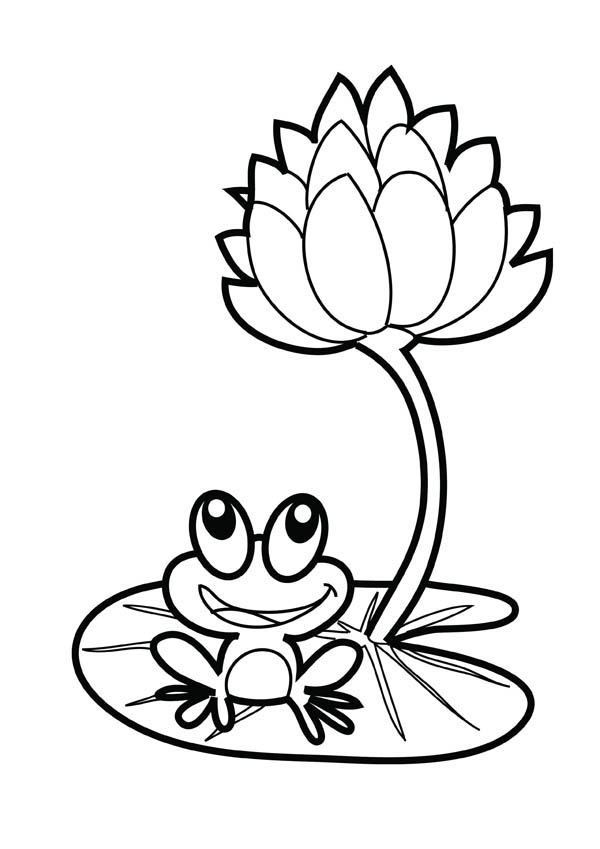 Lotus Flower, : Lotus Flower and a Frog Coloring Page