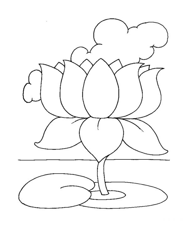 Lotus Flower, : Lotus Flower is a Symbol of Awakening Coloring Page