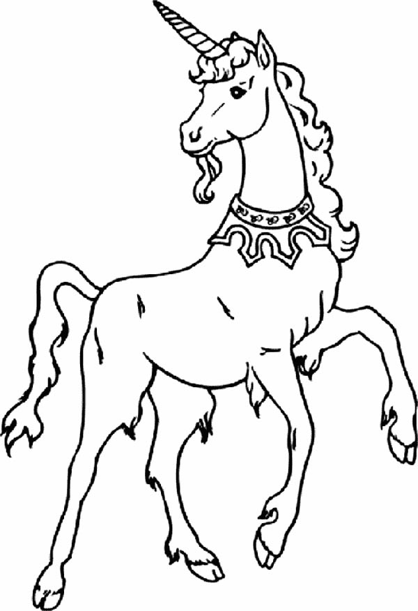 Pegasus Unicorn Coloring Page  Kids Play Color